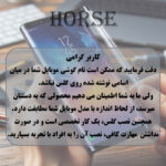 محافظ صفحه نمایش هورس مدل ANTH20 مناسب برای گوشی موبایل سامسونگ Galaxy S25 FE