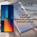 محافظ صفحه نمایش هورس مدل ANTH20 مناسب برای گوشی موبایل سامسونگ Galaxy S25 FE